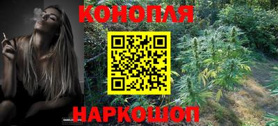 спайс Кунгур