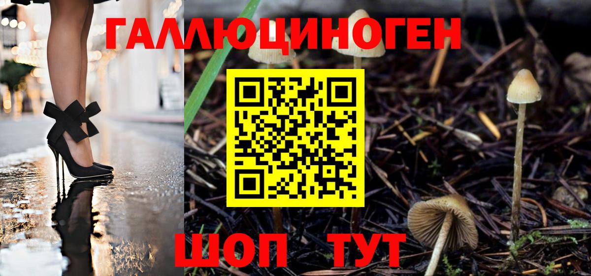 Грозный  Псилоцибиновые грибы мицелий  купить  цена  Вход с VPN 